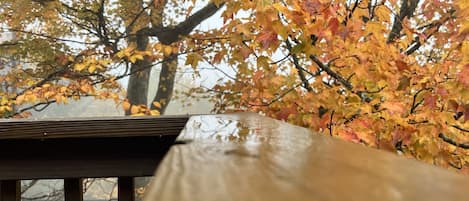 A wooden bench with a view of autumn trees.