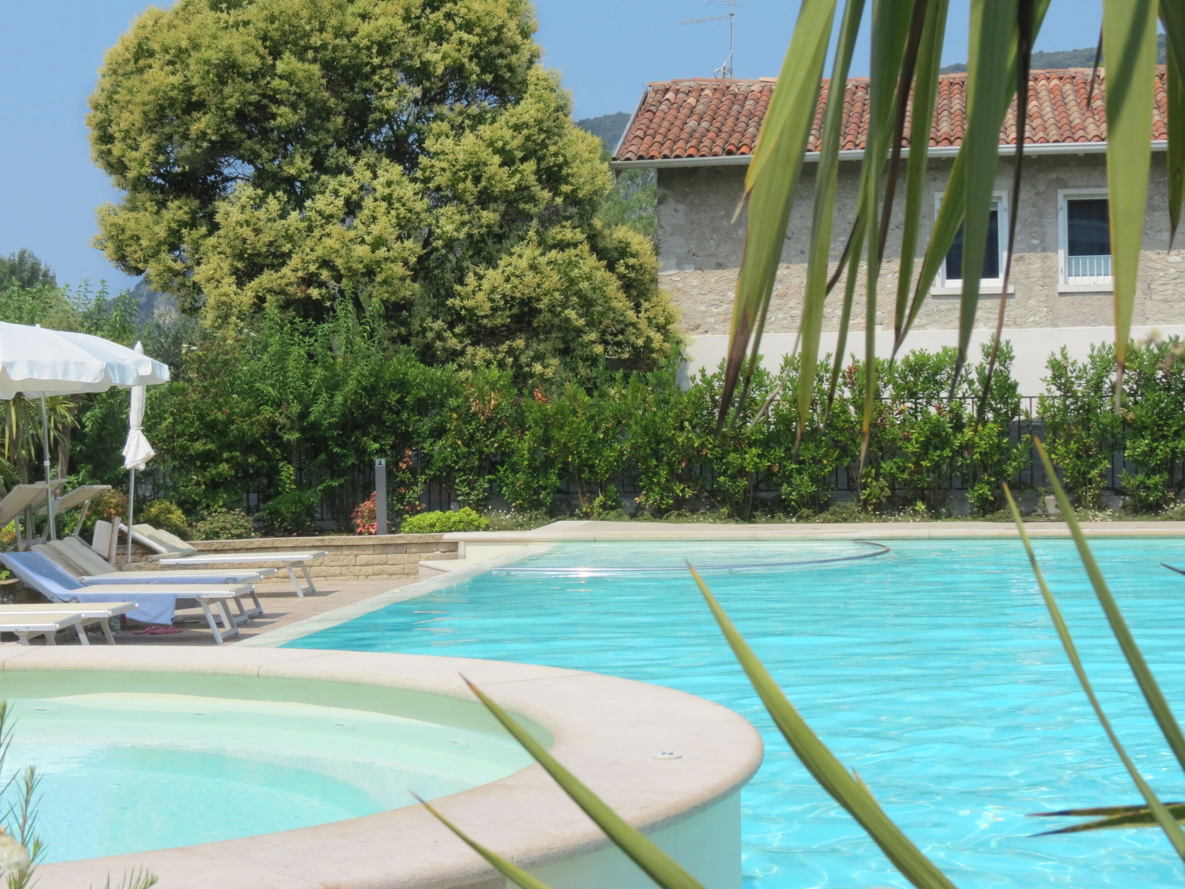 A swimming pool with lounge chairs and a tree in the background.