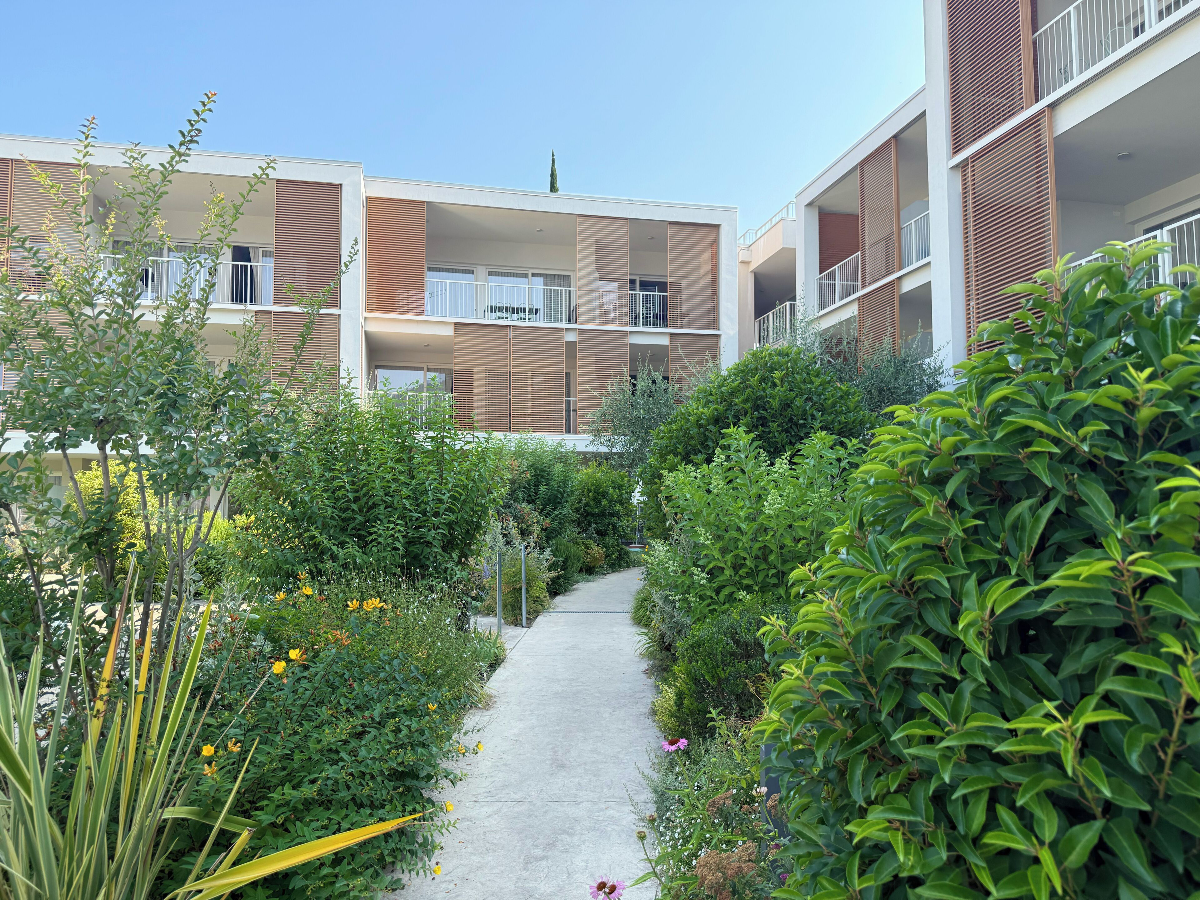 A pathway leading to a modern building with balconies, surrounded by lush greenery and various plants.