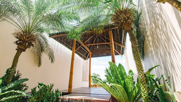 A covered outdoor area with a wooden deck, surrounded by various tropical plants and palm trees. - The Park - Silang (Silang)