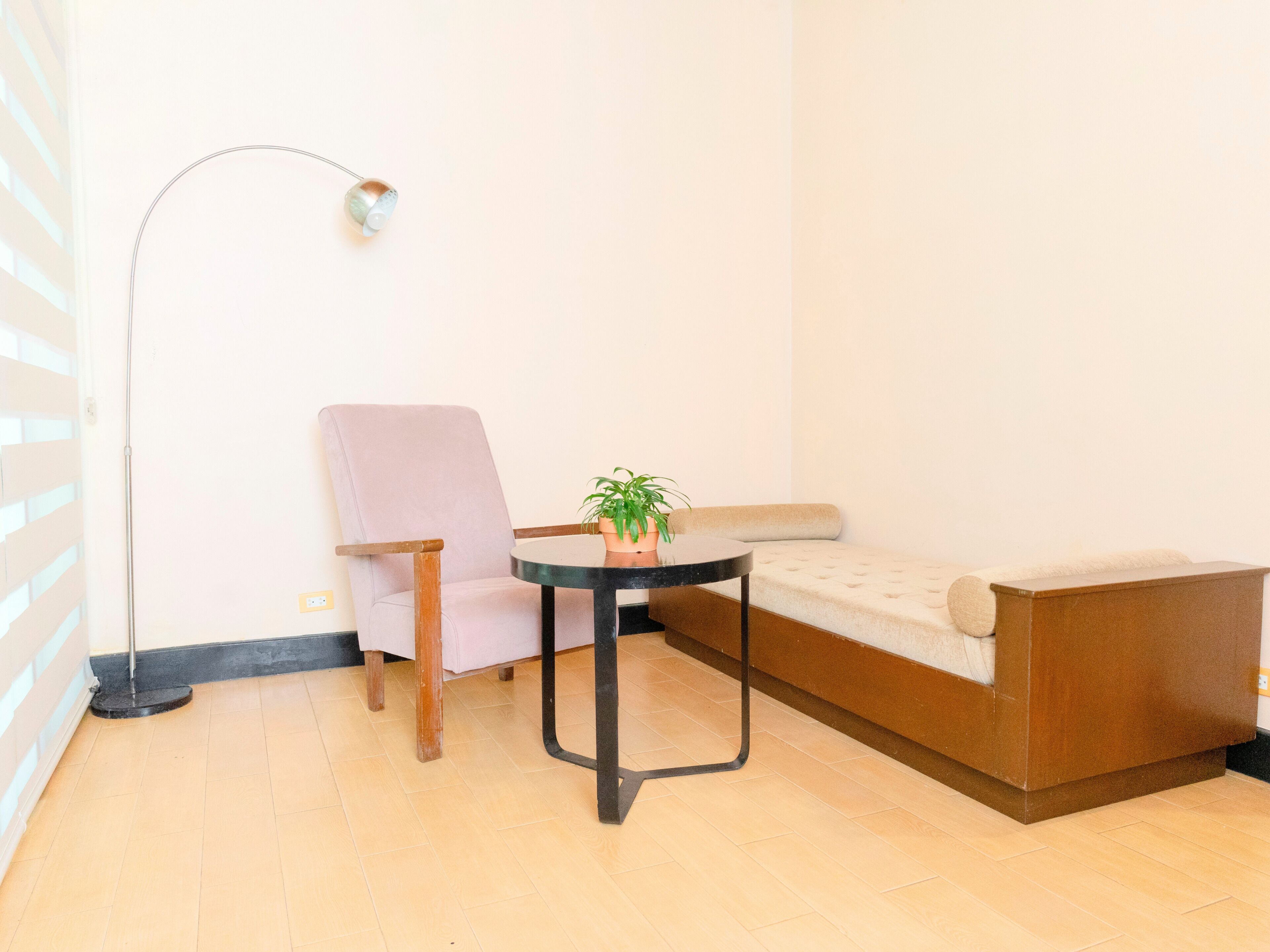 Una habitación con sofá, sillón, una mesita con planta y lámpara de pie.