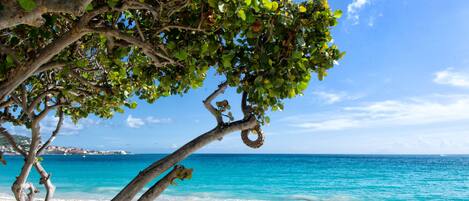 Am Strand, Strandbar