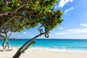 Una spiaggia con acque cristalline turchesi, sabbia bianca e un albero con foglie verdi.