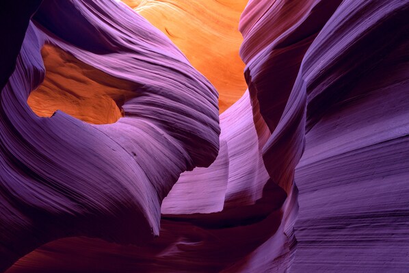 Un gros plan d’un canyon aux formations rocheuses lisses et aux contours harmonieux.