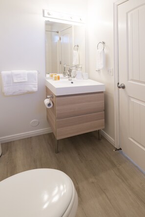 Ensemble douche/baignoire, sèche-cheveux, serviettes fournies, savon