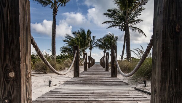 A wooden boardwalk leading to a beach with palm trees and a clear sky.