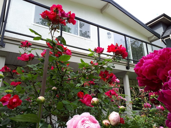 Exterior detail - Two bedrooms near skytrain in Vancouver (Vancouver)