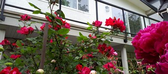 キラーニー、バンクーバーのスカイトレイン近くの2つのベッドルーム