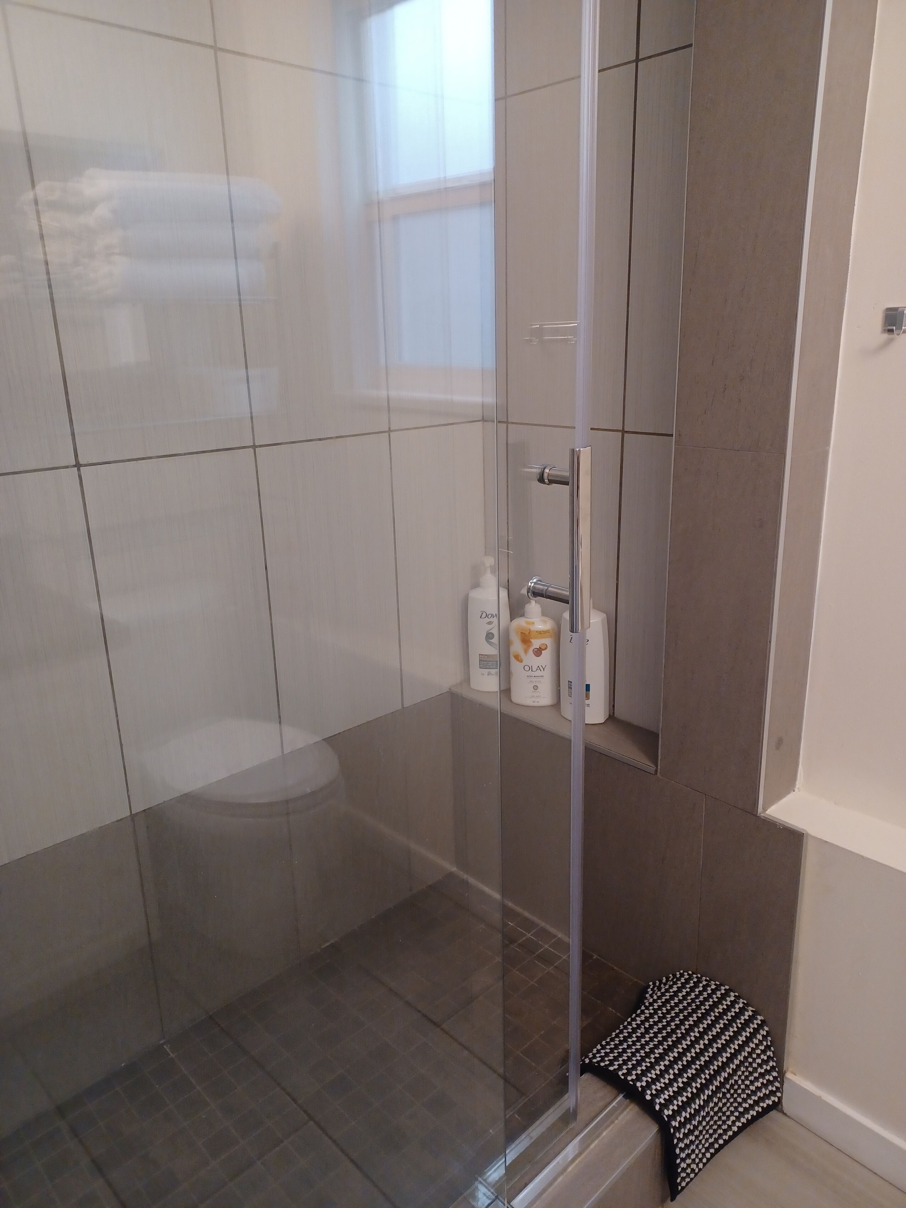 A modern bathroom with a glass shower enclosure, a toilet, and a shelf with toiletries.