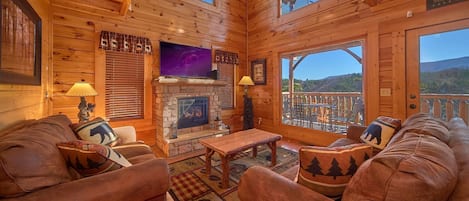 TV, fireplace, video games, DVD player