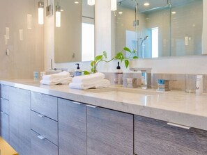 Combined shower/bathtub, hair dryer, towels - Holy Toledo - Executive Home on Millionaire’s Row (Palm Springs)