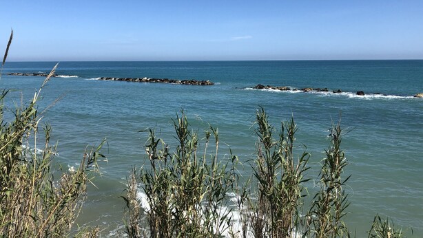 A coastal view with waves crashing against a rocky breakwater, and vegetation in the foreground.