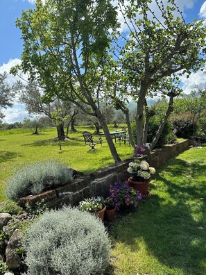 Servei de restauració a l'aire lliure