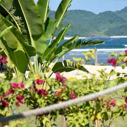 Vue sur la plage/l’océan
