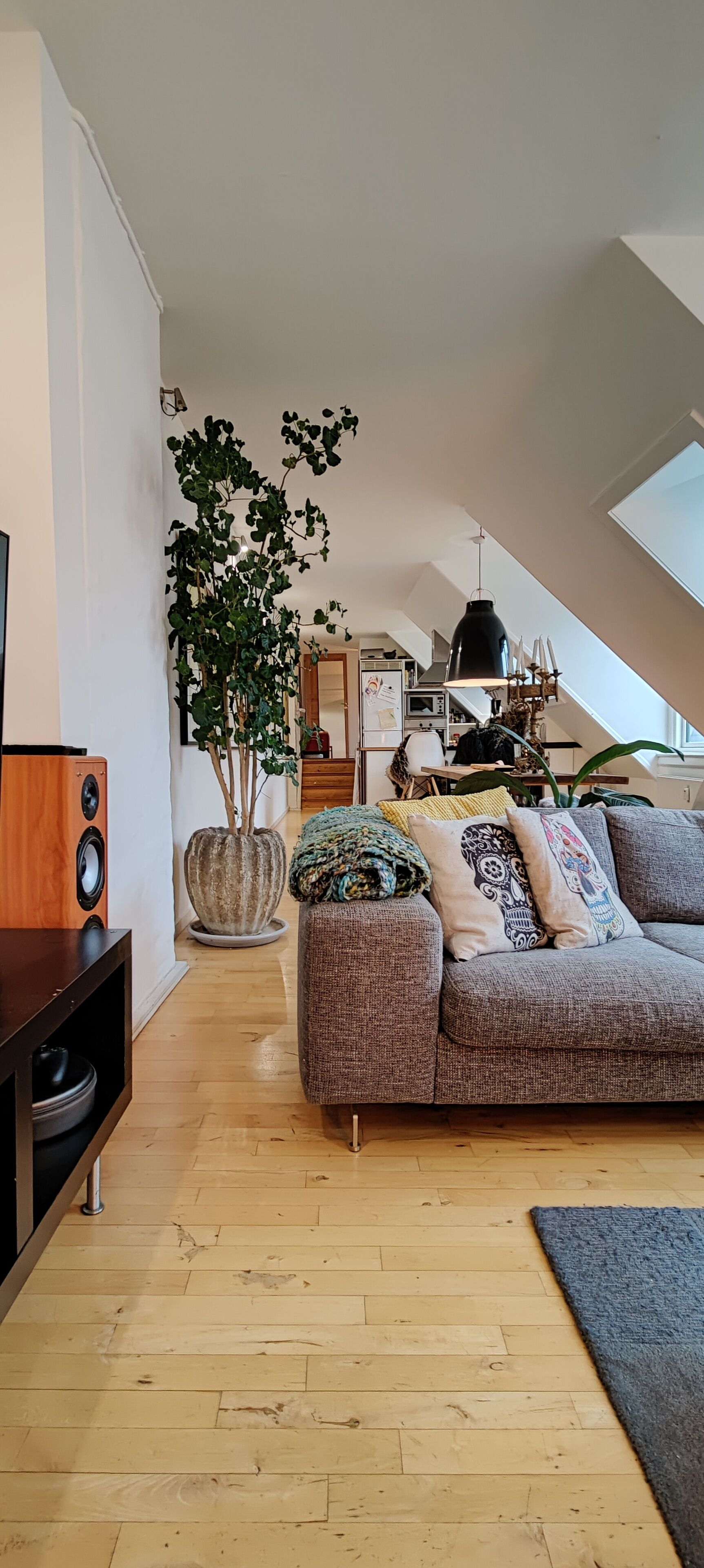 Smart-tv, kontorer, computerskærme, printere