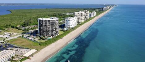 Plage, chaises longues