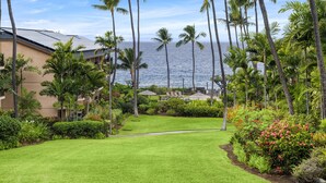 Un jardin luxuriant, agrémenté de palmiers, une pelouse bien entretenue et une vue sur l’océan.