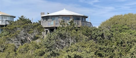 A multi-level house with a central dome structure, surrounded by dense shrubbery.