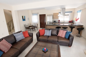 Smart TV, chimenea, reproductor de DVD y libros