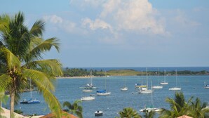 A marina with multiple sailboats and yachts docked. Palm trees are visible along the shoreline.