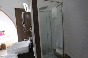 Hair dryer, towels, shampoo, toilet paper