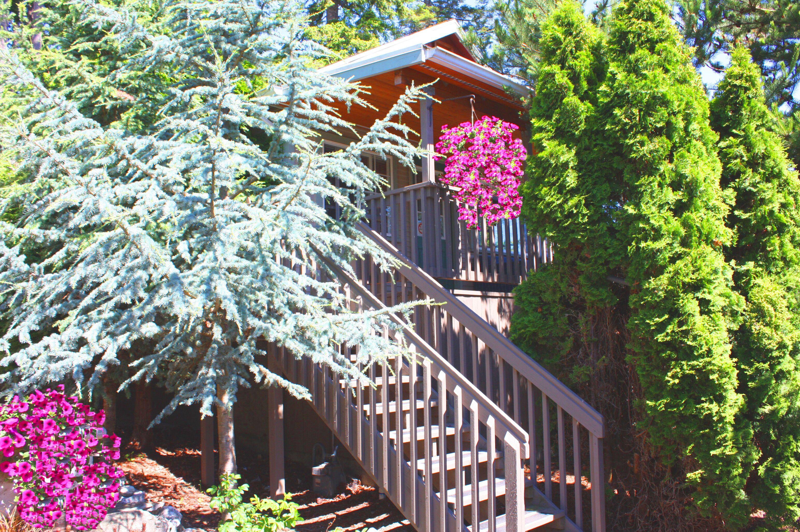 Baywood Cabin By The Bay