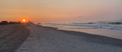 Strand