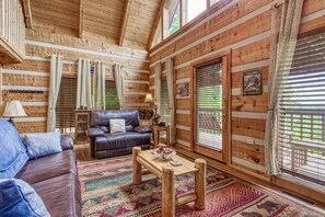 TV, fireplace, video games, DVD player