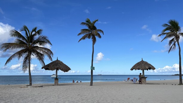 A beach with palm trees, a thatched umbrella, and a lifeguard station. - Luxury pool villa totally private backyard - 5 minutes to the beach! (Noord)