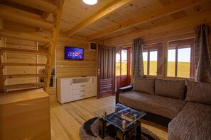 Flat-screen TV