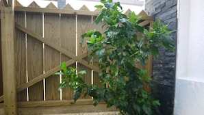 A wooden fence with a climbing plant in a grassy area. - Fishmoon Homestay (Magong)