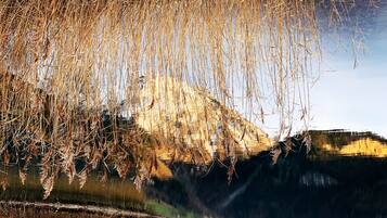 A tranquil lakeside scene with overhanging branches and a calm water surface reflecting the surrounding landscape.