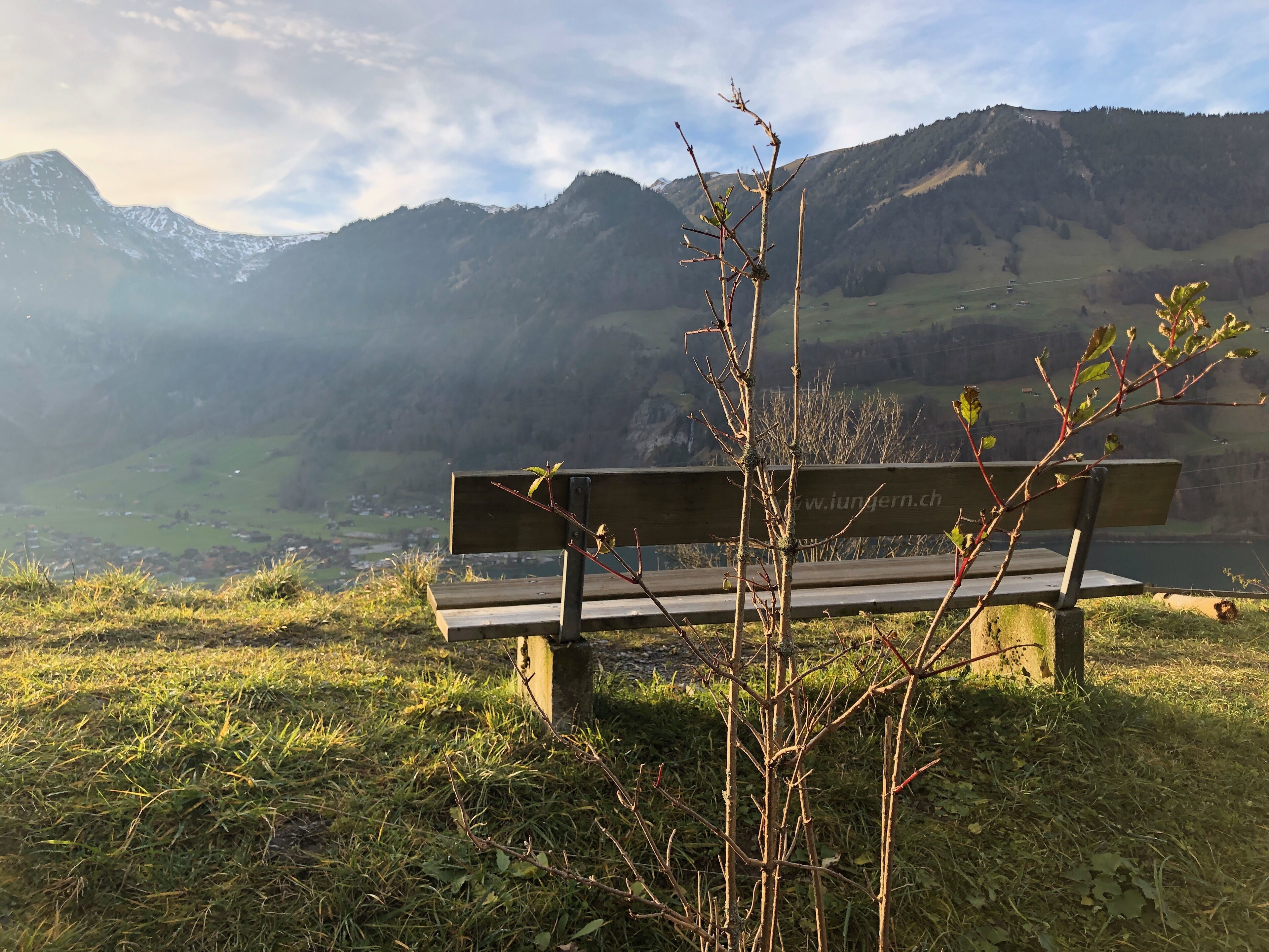 A bench in a grassy area with a mountainous backdrop.