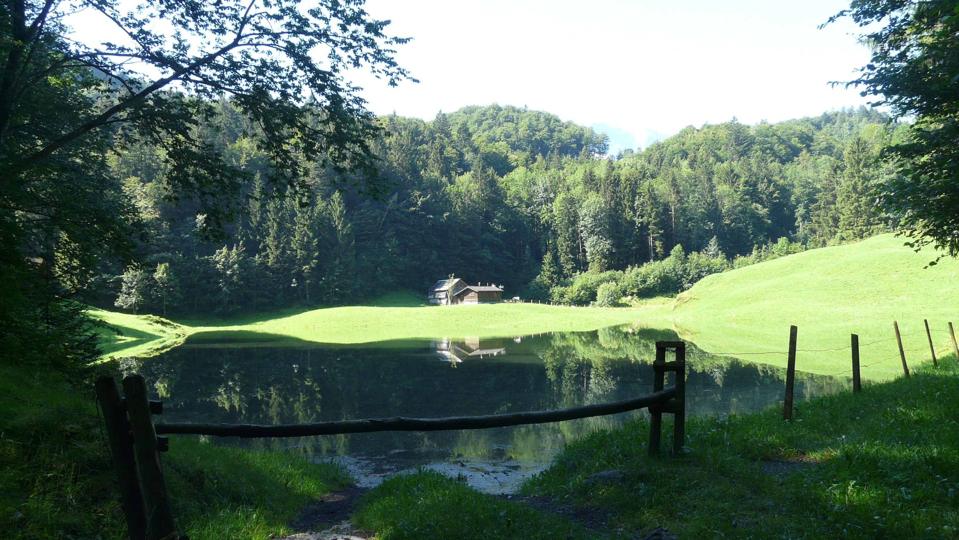 Uma vista tranquila de um lago, com uma cerca de madeira, uma cabana pequena e vegetação exuberante.