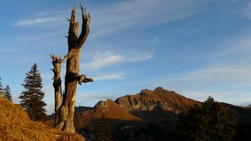 A mountain landscape with a prominent dead tree and a clear sky.