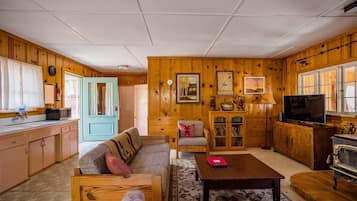 Smart TV, fireplace, books