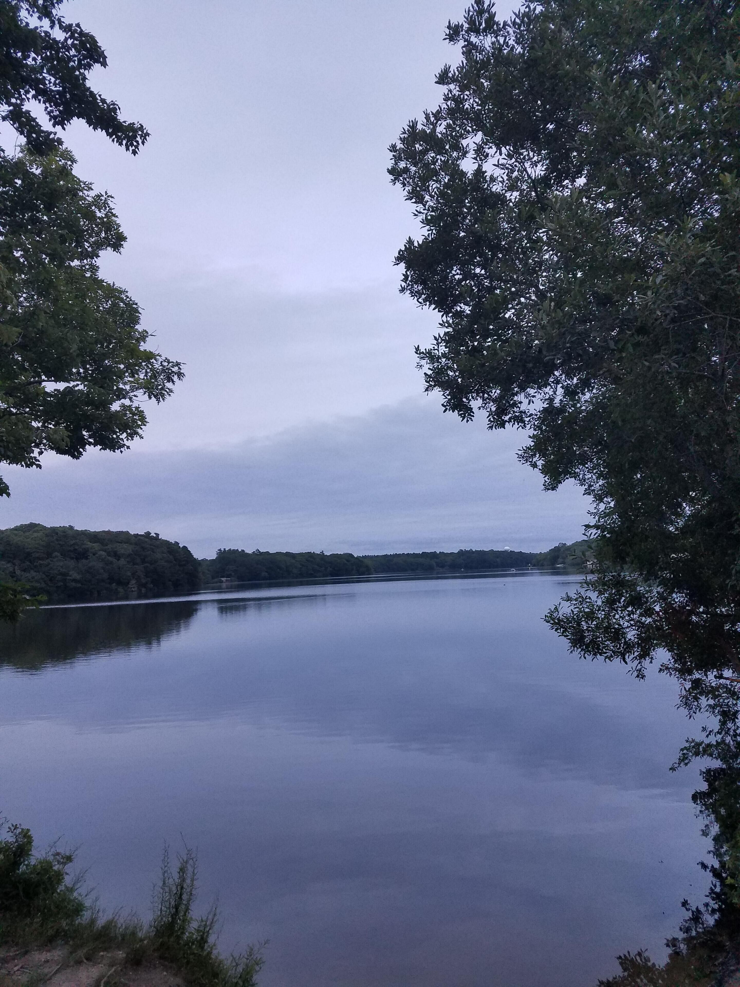 En stilla sjö omgiven av täta träd.