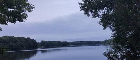 A calm lake surrounded by dense trees.