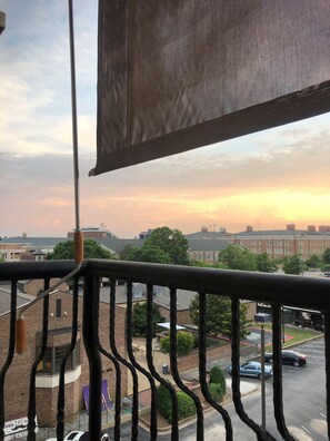 Property grounds - Luxury Rental with View of Football Stadium and 2 Blocks from Toomer's Corner (Auburn)