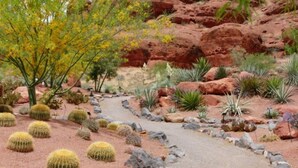 A desert garden with cacti and a winding path. - Gated Golf Course Community Condo (St. George)