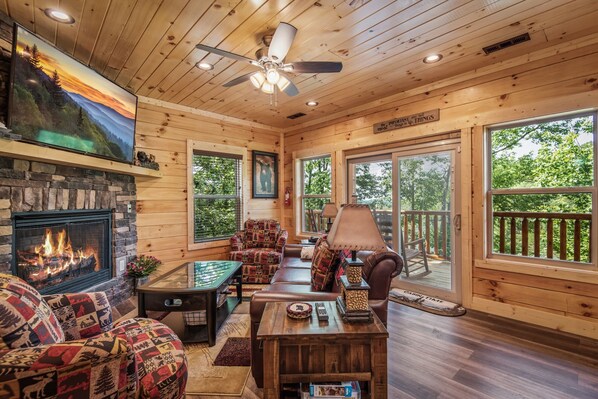 Flat-screen TV, fireplace, video games, DVD player