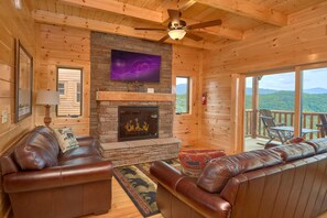 TV, fireplace, video games, DVD player