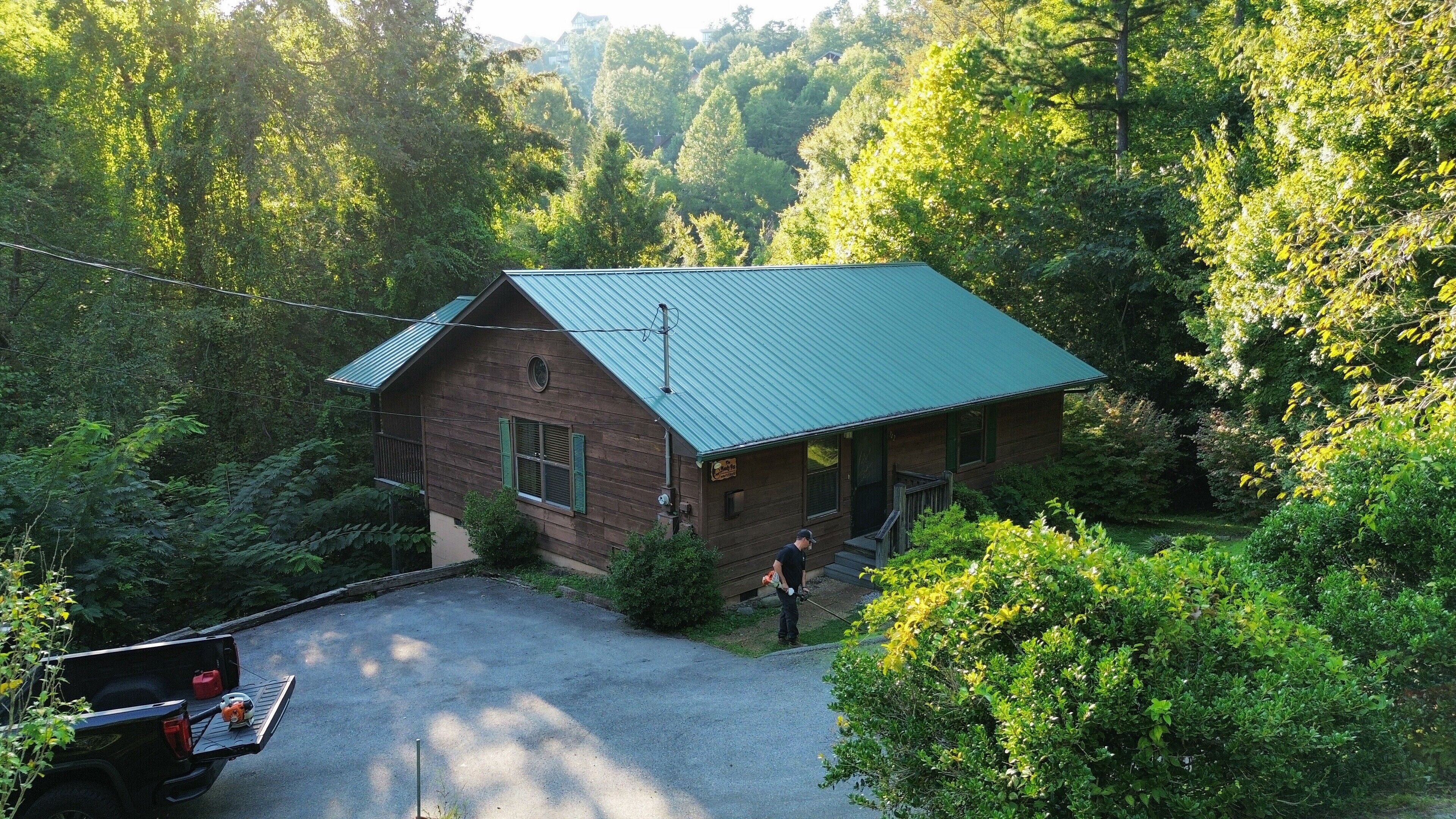 A rustic cabin with a green roof, surrounded by dense forest.