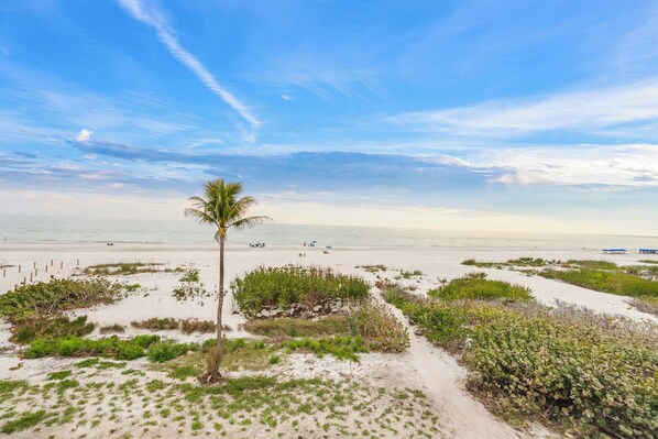 Accommodatie ligt op het strand