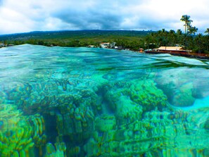 Vista costera con aguas turquesas cristalinas, formaciones coralinas y una costa distante con edificios y palmeras.