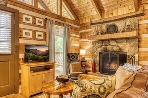 TV, fireplace, DVD player