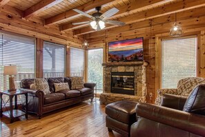 TV, peis, videospill og DVD-spiller