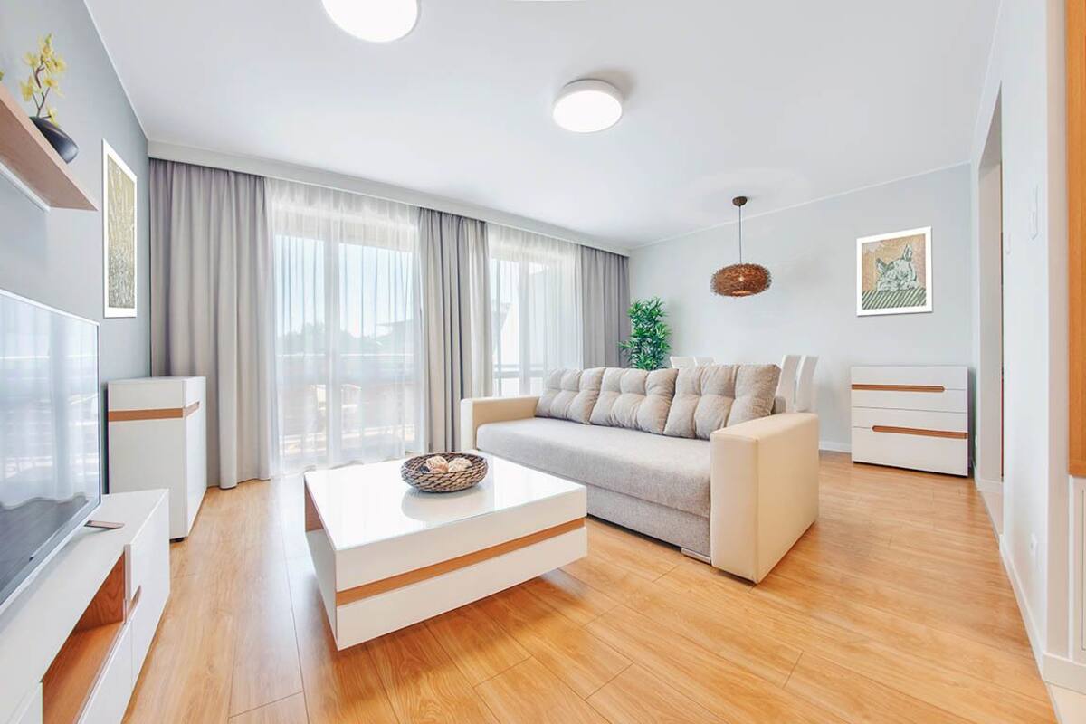 A modern living room with a sofa, a coffee table, a TV, and a plant.