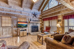 Televisión, chimenea y reproductor de DVD 