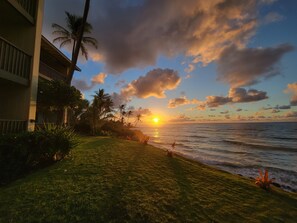 Vista costera con atardecer, palmeras y un edificio con balcones.